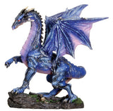 SM. MIDNIGHT DRAGON, C/12