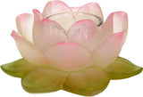 ^CLEAR LOTUS VOTIVE HOLDER, C/24