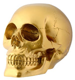 GOLD SKULL, C/12