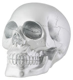 SILVER SKULL, C/12