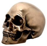 BRONZE SKULL HEAD, C/16