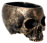 SKULL PLANTER, C/8