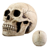 SKULL MONEY BANK, C/8