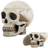DISC-SKULL BOX ASHTRAY, C/24