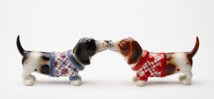 Nothing but a Hound Dog Salt & Pepper Set