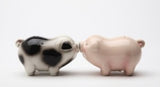 ^ PASSION PIGGIES S & P C/48 MINIMUM OF 4