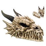 ^DRAGON SKULL BOX, C/8