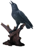 ^RAVEN, C/12