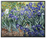 VAN GOGH - IRISES, C/8