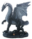 SM. BLACK MIDNIGHT DRAGON, C/12