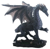 DISC-MED. BLACK MIDNIGHT DRAGON, C/6 MINIMUM OF 2