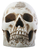 TREASURE MAP SKULL, C/8