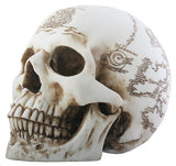 TREASURE MAP SKULL, C/8