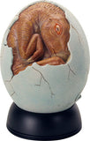 BROWN BABY EGG HATCHLING, C/12