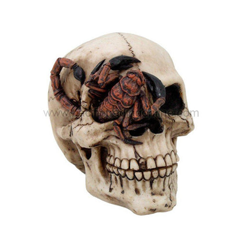 Scorpion Skull