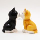 KITTENS S & P C/48