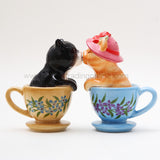 ^ TEACUP KITTENS S & P C/36 MINIMUM OF 4