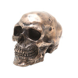 SMALL BRONZE SKULL, C/24