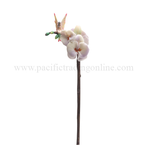 ORCHID FLITTY C/12