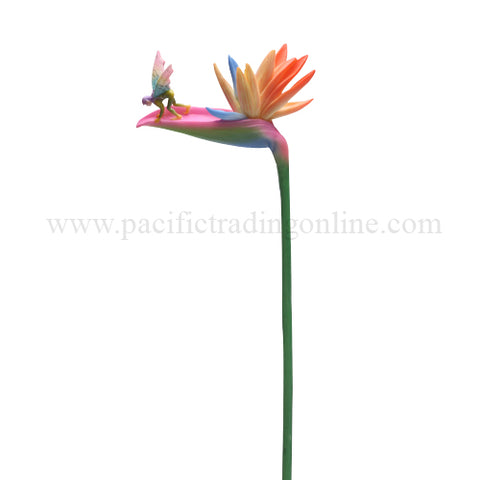 BIRD OF PARADISE FLITTY/12