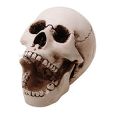 Skull Open Mouth Ashtray