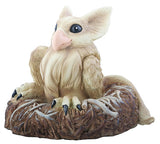 GRIFFIN NESTLING, C/24