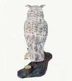 OWL, C/12