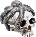 OCTOPUS SKULL, C/8