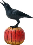 RAVEN ON PUMPKIN, C/12