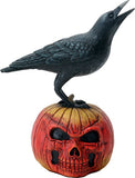 RAVEN ON PUMPKIN, C/12