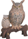 Owls