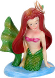 DISC-MERMAID HARLEQUIN, C/60 MINIMUM OF 2
