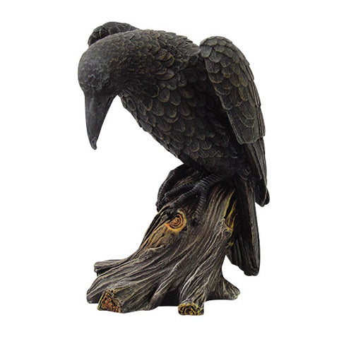 Raven