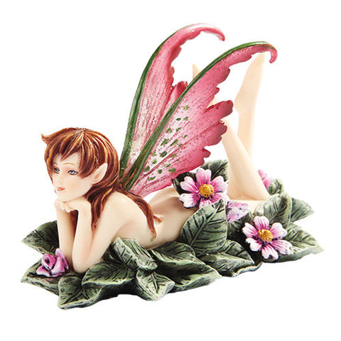 ^PRIMROSE FAERY C/12