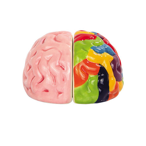 ^LEFT & RIGHT BRAINS SP C/48