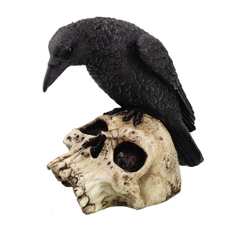 ^RAVEN ON SKULL C/24