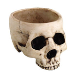 SKULL BOWL C/12