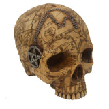 SALEM WITCH SKULL C/8