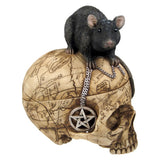 Salem Witch Skull w/ Mouse