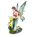 FAIRY REFLECTING C/1