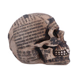 DRACULA SKULL C/12