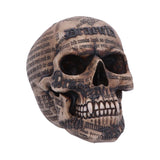 DRACULA SKULL C/12